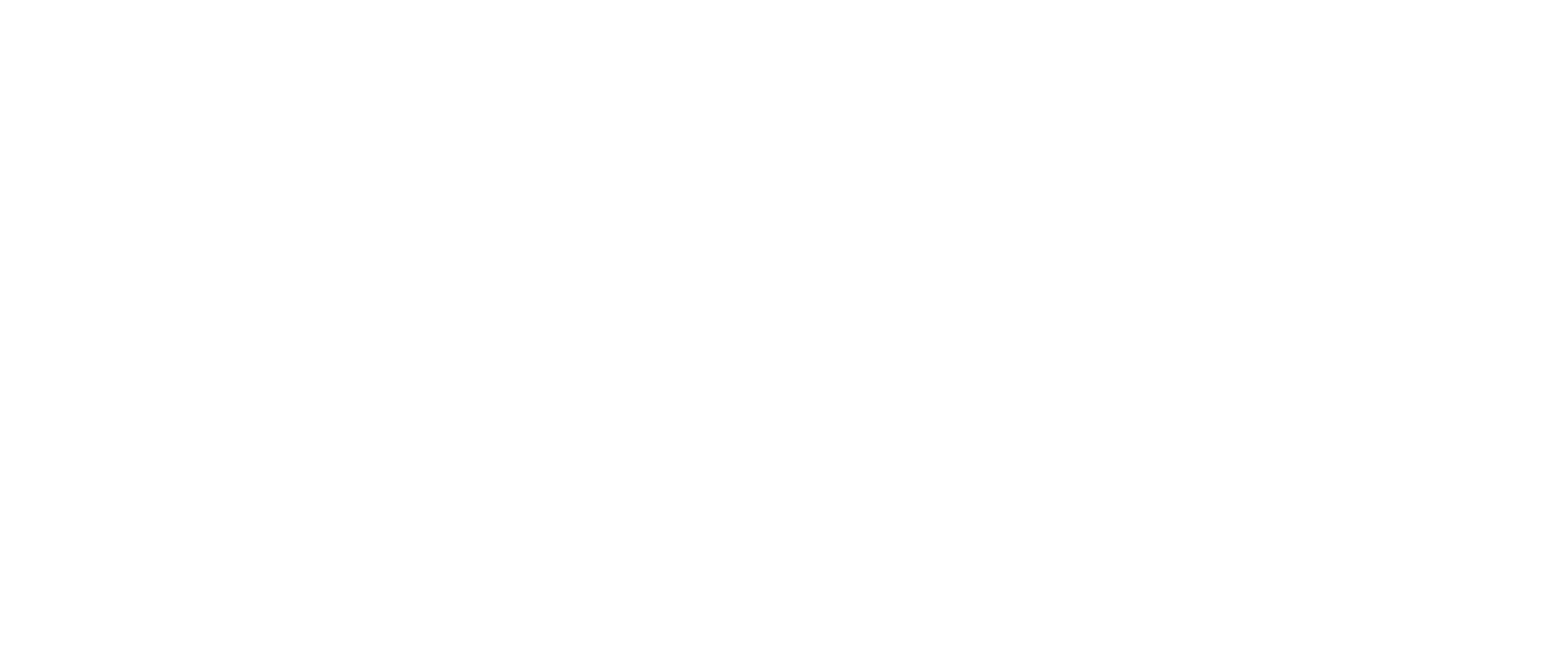 NL Logo